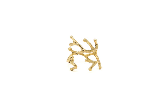 u-Ring branch
